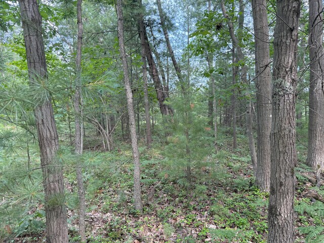 Critter Trl Unit Parcel B, Manistee, MI 49660 - photo 3
