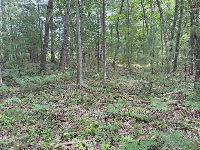 Critter Trl Unit Parcel B, Manistee, MI 49660 - photo 6