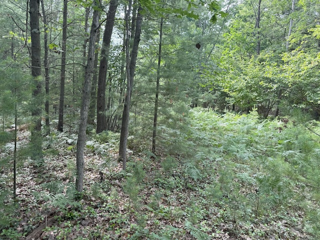 Critter Trl Unit Parcel B, Manistee, MI 49660 - photo 7