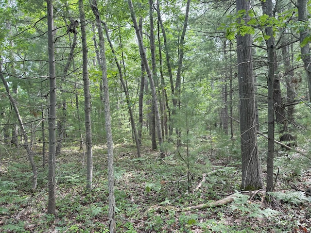Critter Trl Unit Parcel B, Manistee, MI 49660 - photo 8