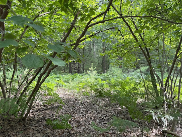 Critter Trl Unit Parcel B, Manistee, MI 49660 - photo 4