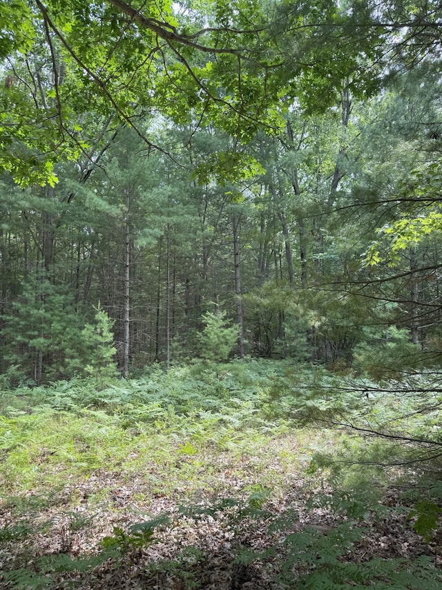 Critter Trl Unit Parcel B, Manistee, MI 49660 - photo 10