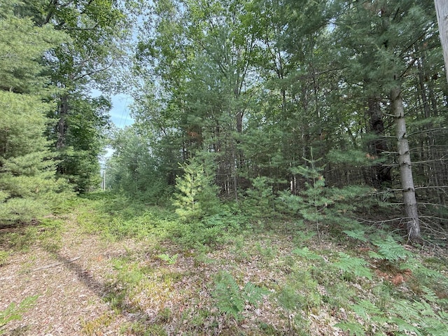 Critter Trl Unit Parcel B, Manistee, MI 49660 - photo 1