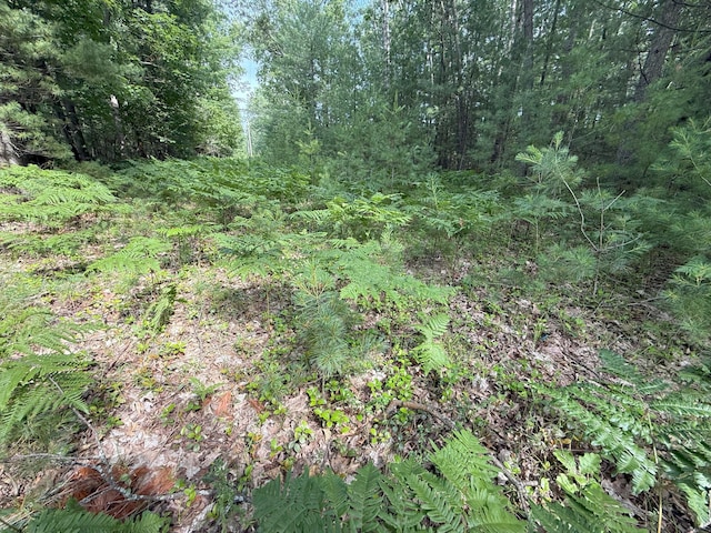 Critter Trl Unit Parcel B, Manistee, MI 49660 - photo 11