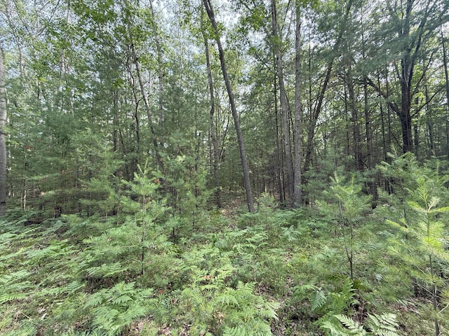 Critter Trl Unit Parcel B, Manistee, MI 49660 - photo 12
