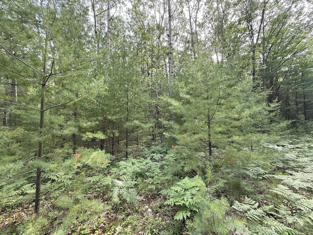 Critter Trl Unit Parcel B, Manistee, MI 49660 - photo 13