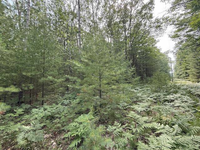 Critter Trl Unit Parcel B, Manistee, MI 49660 - photo 14