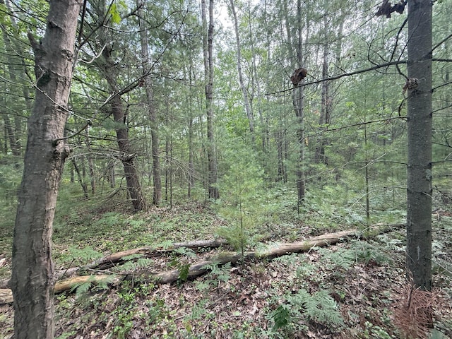 Critter Trl Unit Parcel B, Manistee, MI 49660 - photo 15