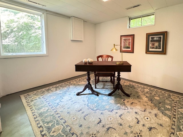 285 Brookside Dr, Ann Arbor, MI 48105 - office featuring healthy amount of natural light
