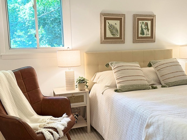285 Brookside Dr, Ann Arbor, MI 48105 - view of bedroom
