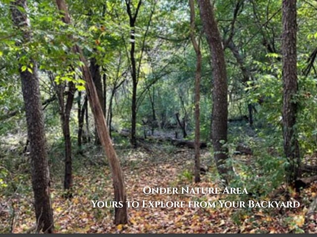 285 Brookside Dr, Ann Arbor, MI 48105 - view of tree filled area