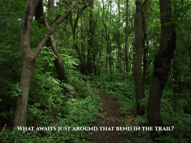 285 Brookside Dr, Ann Arbor, MI 48105 - view of wooded area