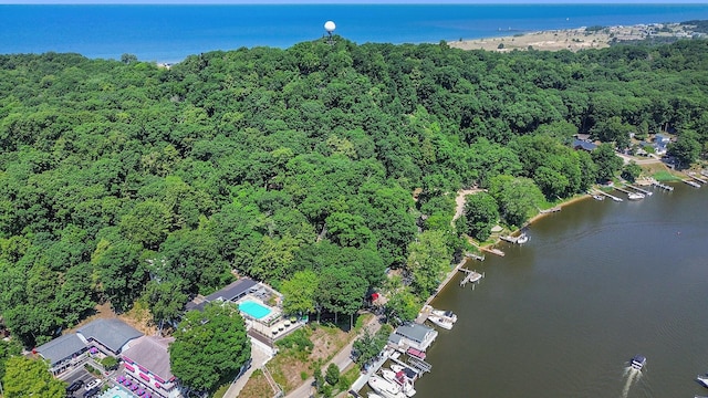 128 Van Dalson St, Saugatuck, MI 49453 - photo 39