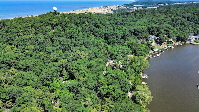 128 Van Dalson St, Saugatuck, MI 49453 - photo 40