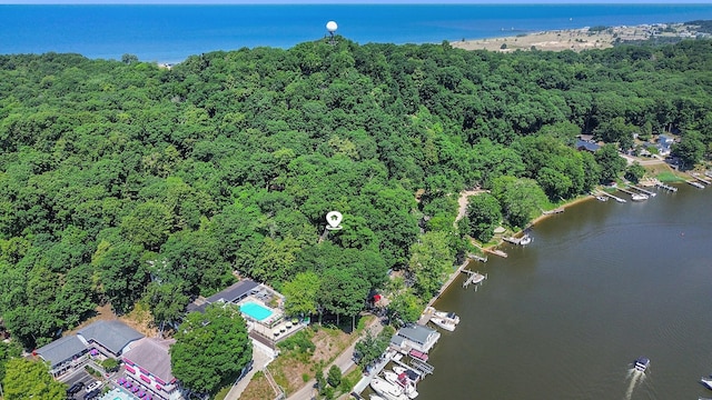 128 Van Dalson St, Saugatuck, MI 49453 - photo 43