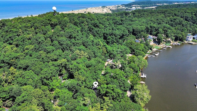 128 Van Dalson St, Saugatuck, MI 49453 - photo 44