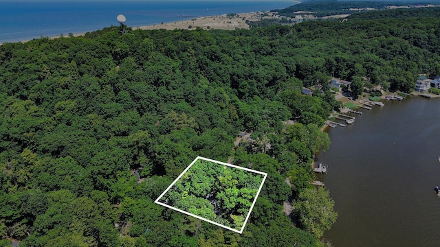 128 Van Dalson St, Saugatuck, MI 49453 - photo 47