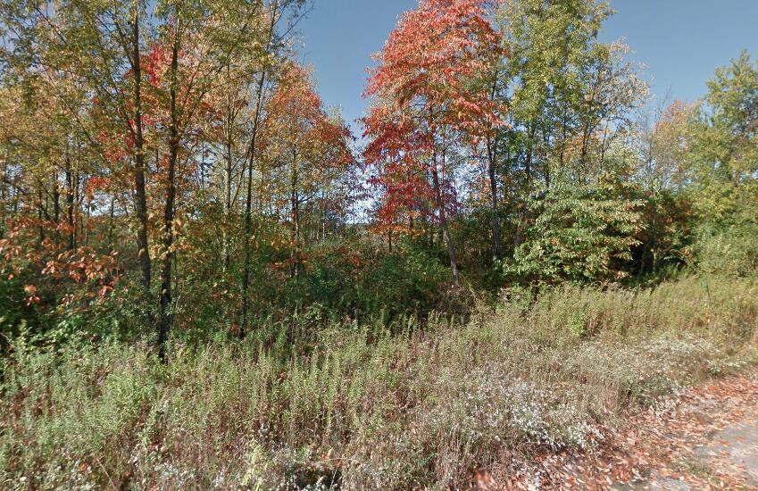 0 Forest Shores Dr Unit 22, Cassopolis, MI 49031