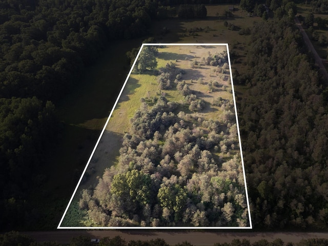 LOT4 E Arthur Rd, Rothbury, MI 49452