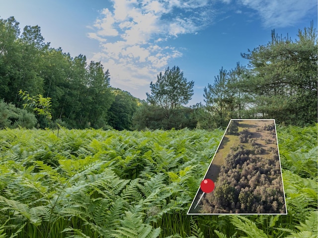 LOT4 E Arthur Rd, Rothbury, MI 49452