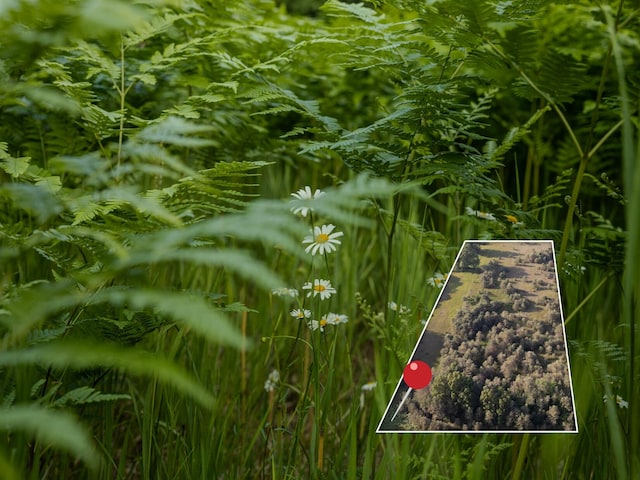 LOT4 E Arthur Rd, Rothbury, MI 49452