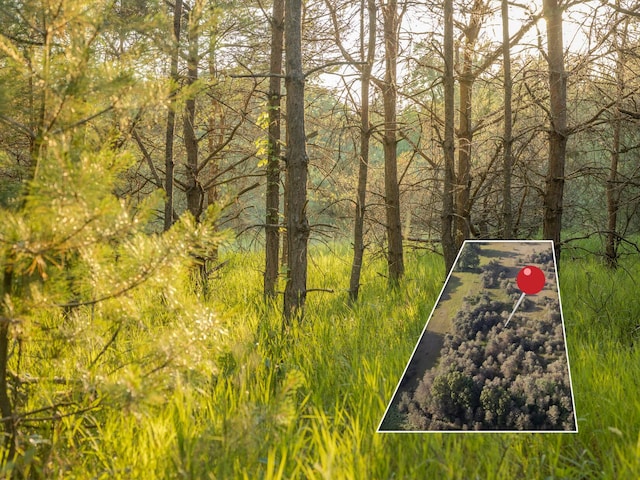 LOT4 E Arthur Rd, Rothbury, MI 49452