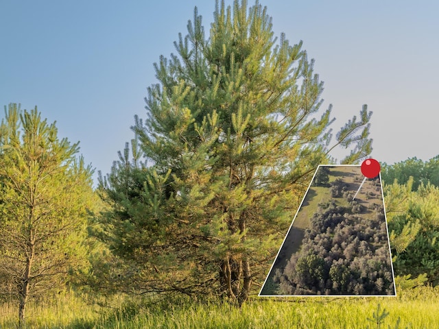 LOT4 E Arthur Rd, Rothbury, MI 49452