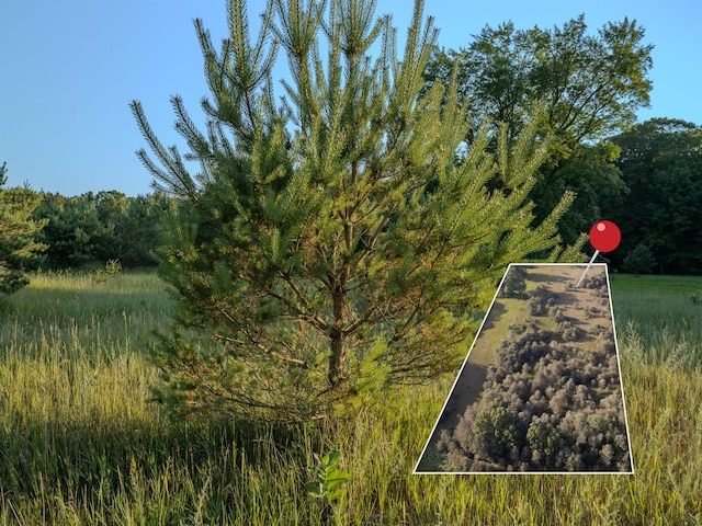 LOT4 E Arthur Rd, Rothbury, MI 49452
