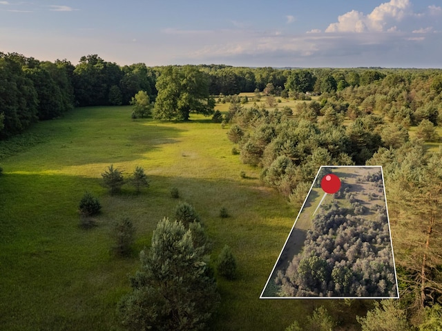 LOT4 E Arthur Rd, Rothbury, MI 49452