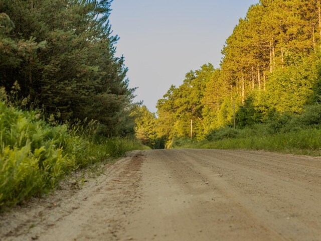 LOT4 E Arthur Rd, Rothbury, MI 49452