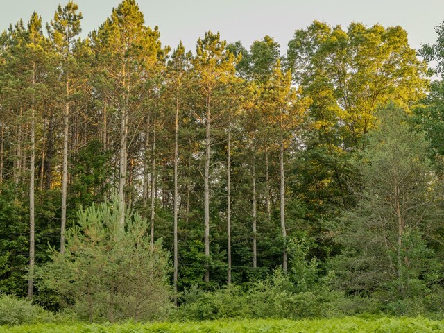 LOT4 E Arthur Rd, Rothbury, MI 49452