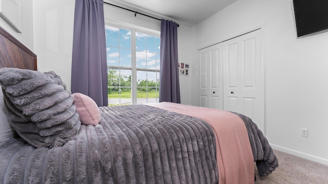 3850 Diuble Rd, Ann Arbor, MI 48103 - photo 23