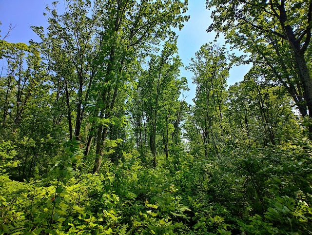 VL Deer Lake Rd, Harrison, MI 48625