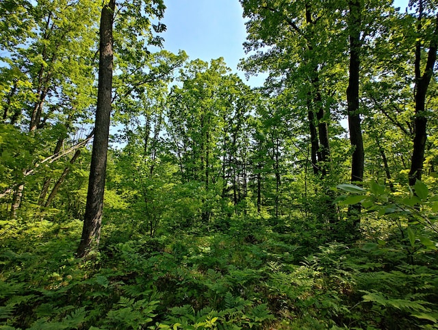 VL Deer Lake Rd, Harrison, MI 48625