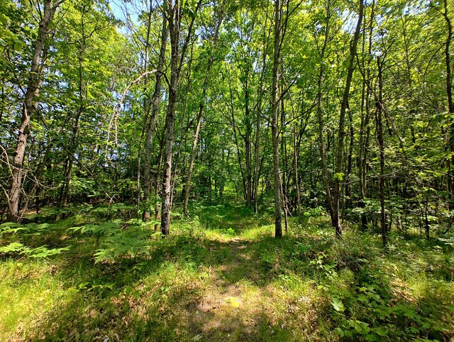 VL Deer Lake Rd, Harrison, MI 48625