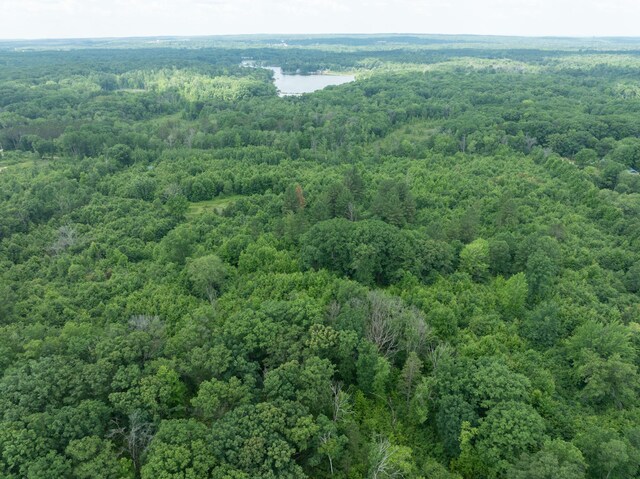 VL Deer Lake Rd, Harrison, MI 48625