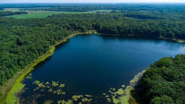 5696 E Winter Rd, Walkerville, MI 49459