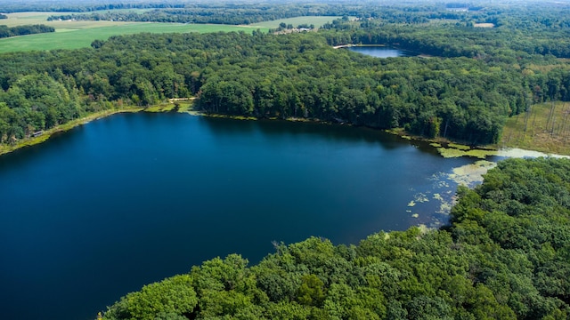 5696 E Winter Rd, Walkerville, MI 49459