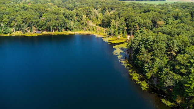 5696 E Winter Rd, Walkerville, MI 49459