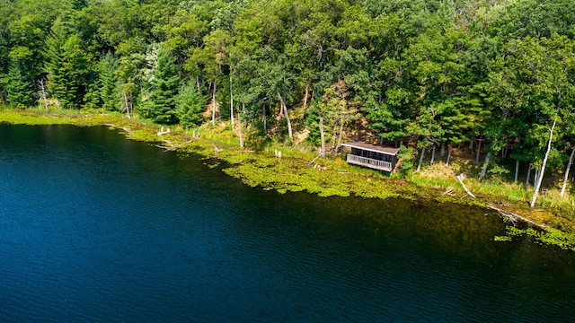 5696 E Winter Rd, Walkerville, MI 49459
