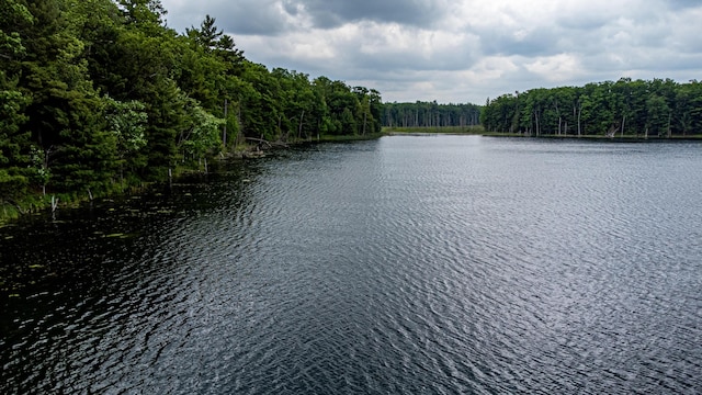 5696 E Winter Rd, Walkerville, MI 49459