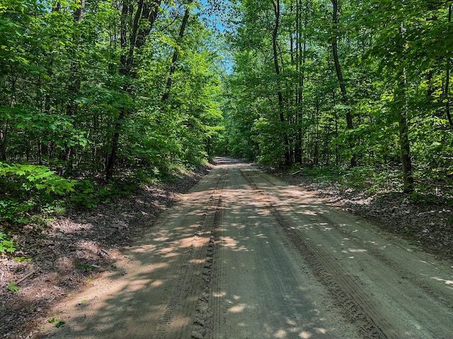 5696 E Winter Rd, Walkerville, MI 49459