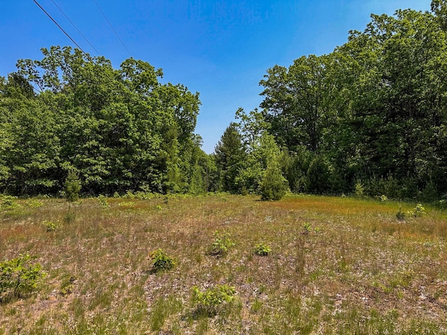 5696 E Winter Rd, Walkerville, MI 49459
