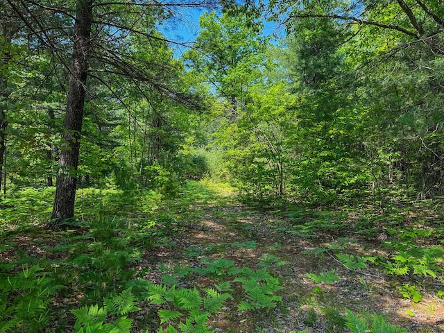 5696 E Winter Rd, Walkerville, MI 49459