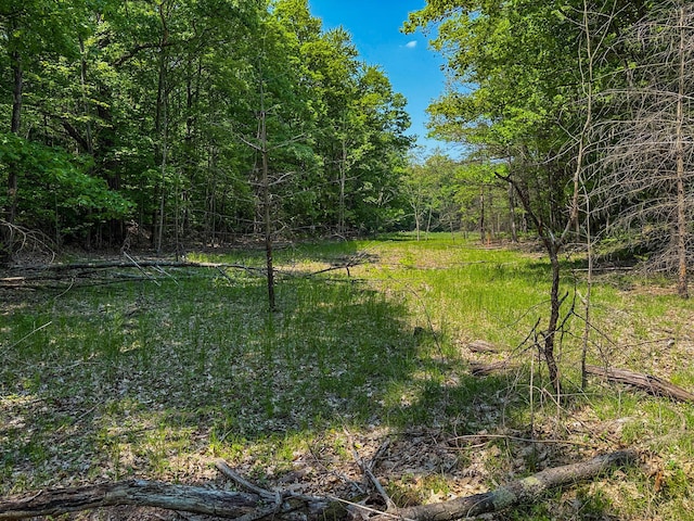 5696 E Winter Rd, Walkerville, MI 49459