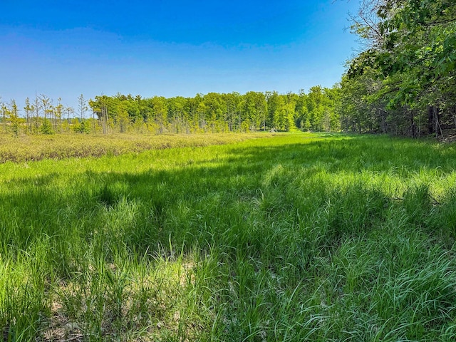 5696 E Winter Rd, Walkerville, MI 49459