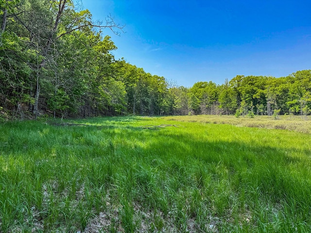 5696 E Winter Rd, Walkerville, MI 49459