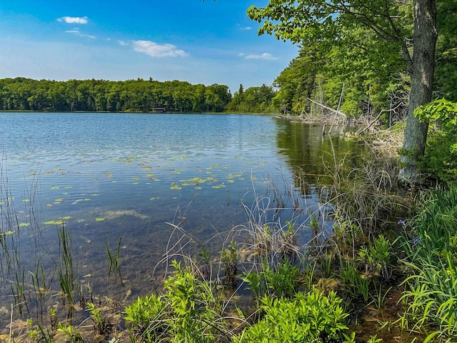 5696 E Winter Rd, Walkerville, MI 49459