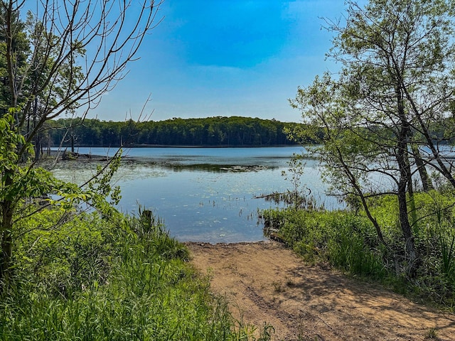 5696 E Winter Rd, Walkerville, MI 49459