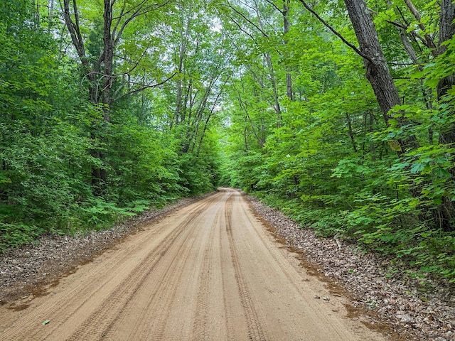 5696 E Winter Rd, Walkerville, MI 49459